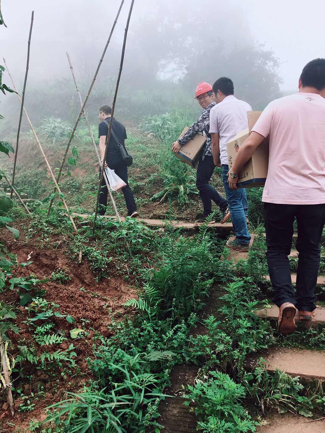 酷暑夏日送清凉