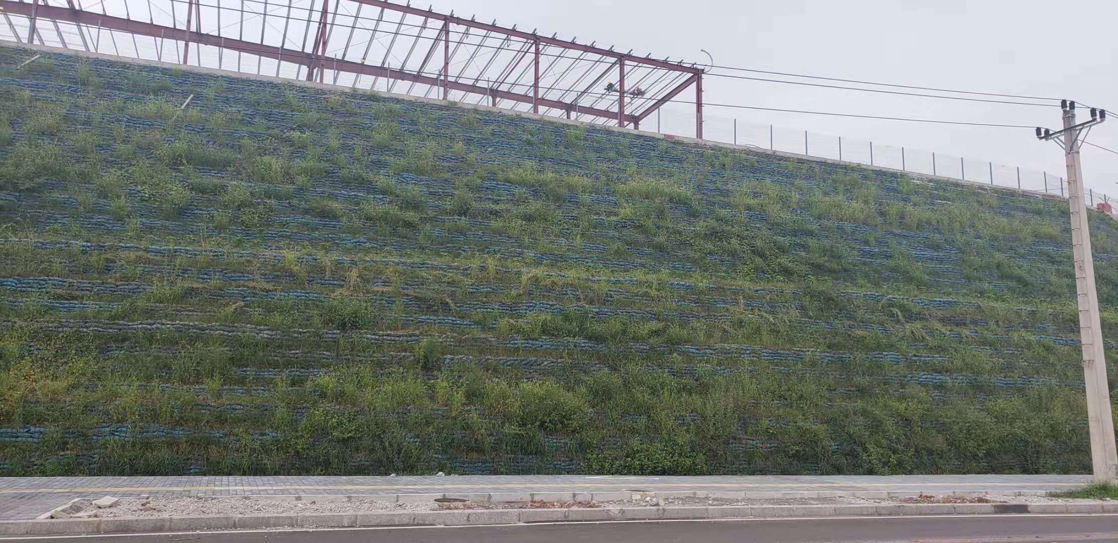 现代物流产业园项目边坡支护工程施工进展