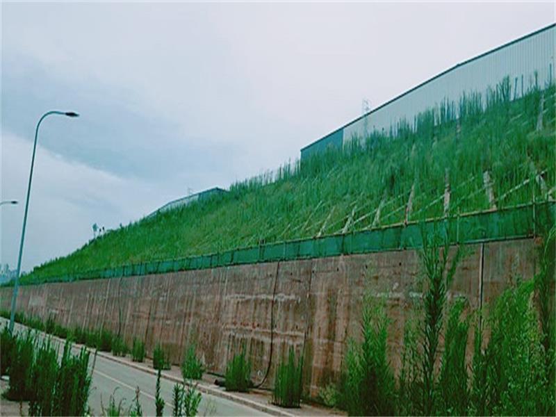 重庆现代物流产业园项目边坡支护工程